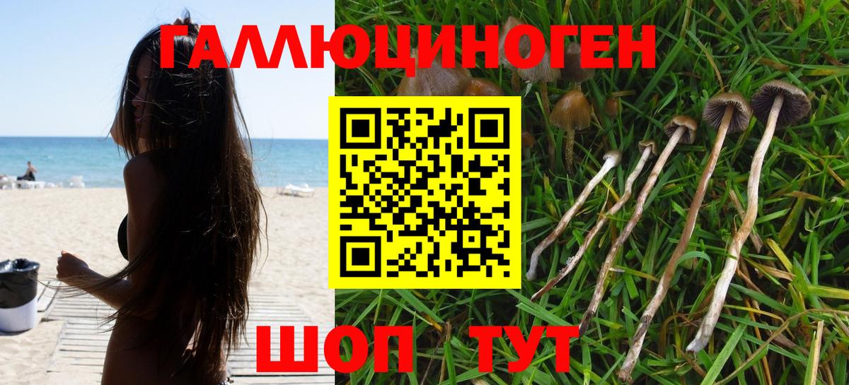 Салехард  Псилоцибиновые грибы мицелий  Вход с VPN 